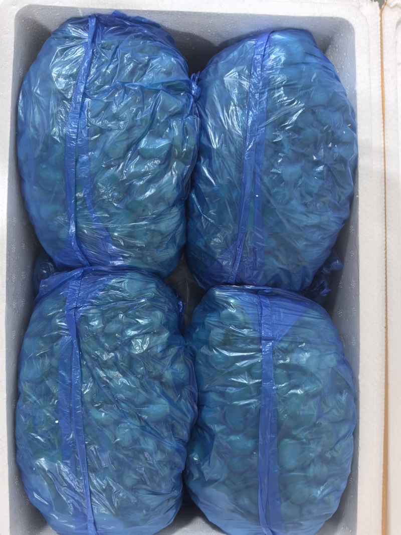 云南一级蚕豆米