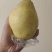雪花梨