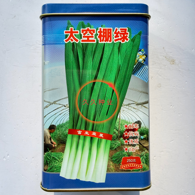 太空棚绿韭菜种子叶片直立宽大肥厚叶色浓香味香辣耐热耐寒