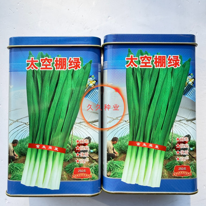 太空棚绿韭菜种子叶片直立宽大肥厚叶色浓香味香辣耐热耐寒