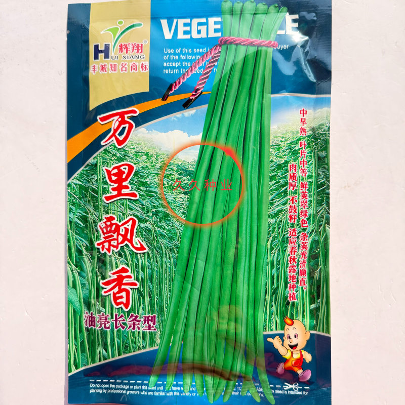 万里飘香油亮长条型豆角种子荚面美观顺直持续结荚力强豆角种