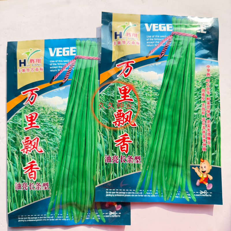 万里飘香油亮长条型豆角种子荚面美观顺直持续结荚力强豆角种