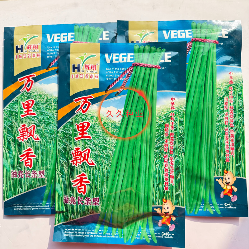 万里飘香油亮长条型豆角种子荚面美观顺直持续结荚力强豆角种