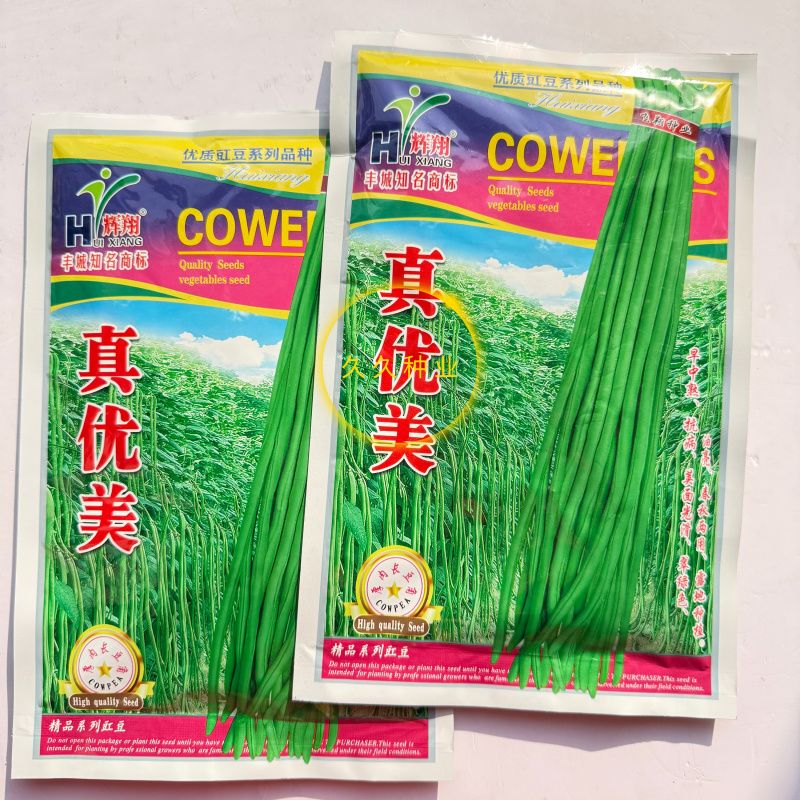 真优美豇豆种子翠绿油亮长豇豆种子不鼓籽无鼠尾春秋季长豆角