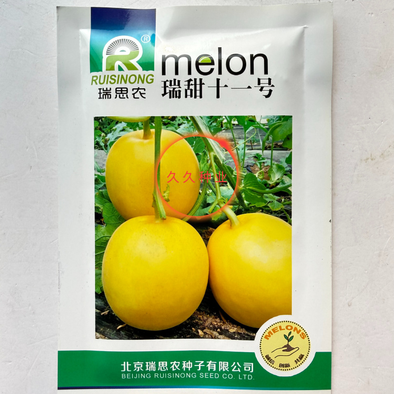 瑞甜十一号早熟薄皮甜瓜种子果圆形果面光滑肉白细腻清香酥脆