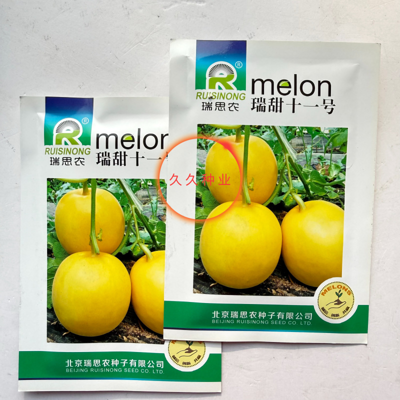瑞甜十一号早熟薄皮甜瓜种子果圆形果面光滑肉白细腻清香酥脆