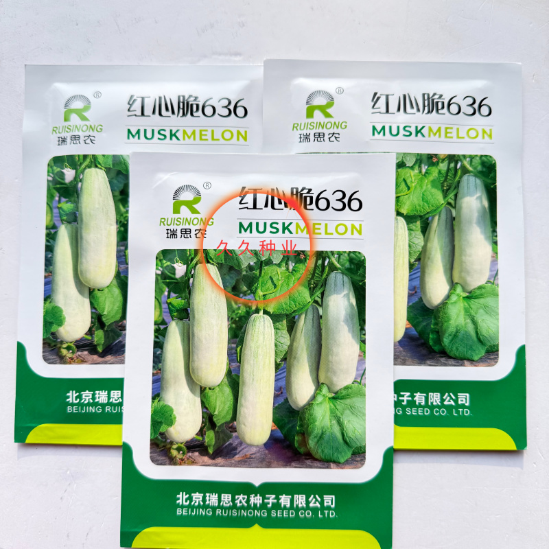红心脆636中早熟薄皮甜瓜种子棒形灰白皮肉厚腔小酥脆绿肉