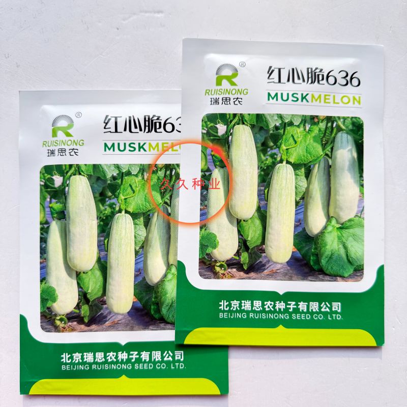 红心脆636中早熟薄皮甜瓜种子棒形灰白皮肉厚腔小酥脆绿肉