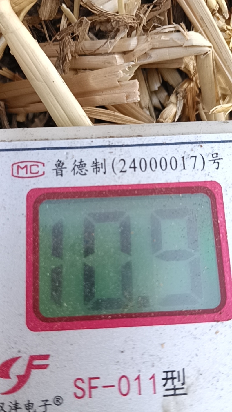 一次性成型大方梱精品牛草十份保证质量保证
