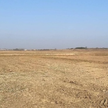 西安市周边有1万亩左右水浇平地和小坡地出租，也可以合伙种