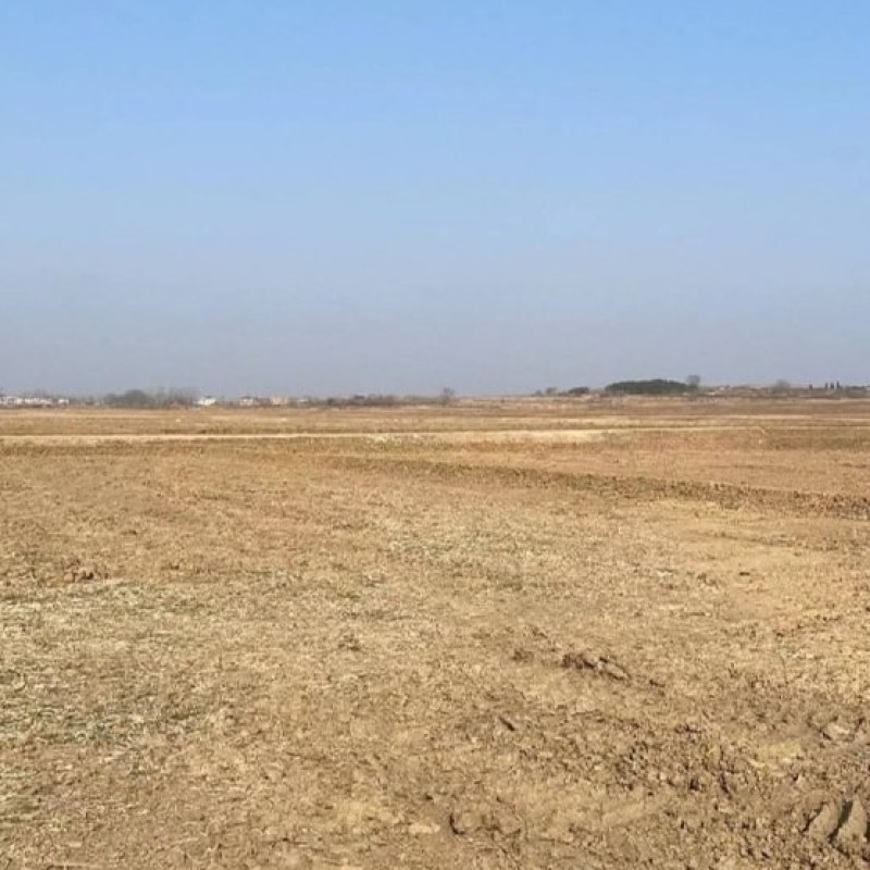 西安市周边有1万亩左右水浇平地和小坡地出租，也可以合伙种