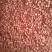 【推荐】河南精品花生米产地直发，品质保证，服务周到，