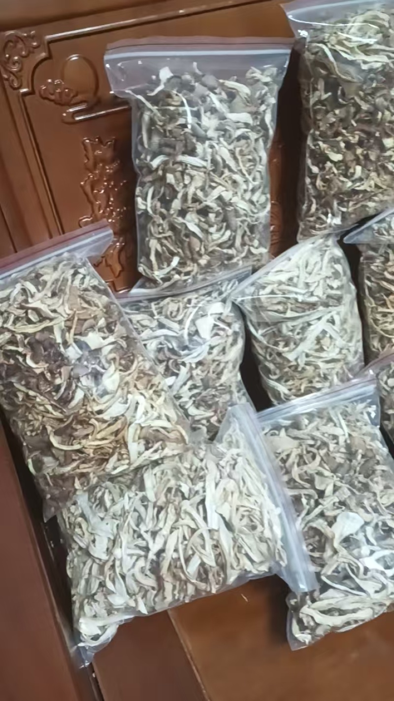 虎掌菌