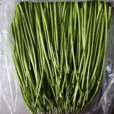 芦蒿自产自销，基地直发，没有中间商差价