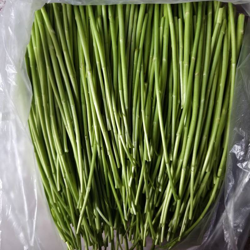 芦蒿自产自销，基地直发，没有中间商差价