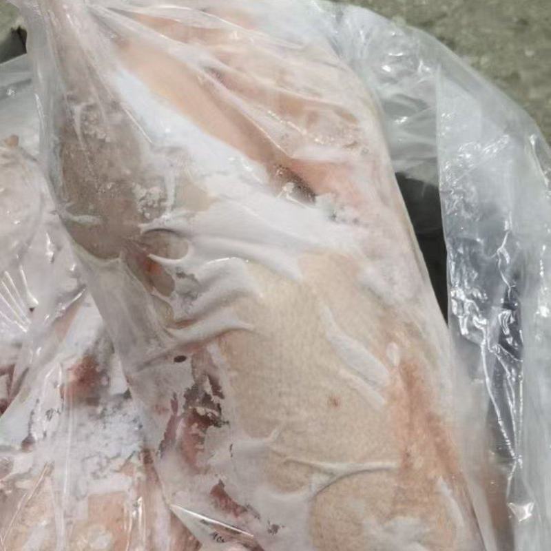 厂家二级9只两光鹅