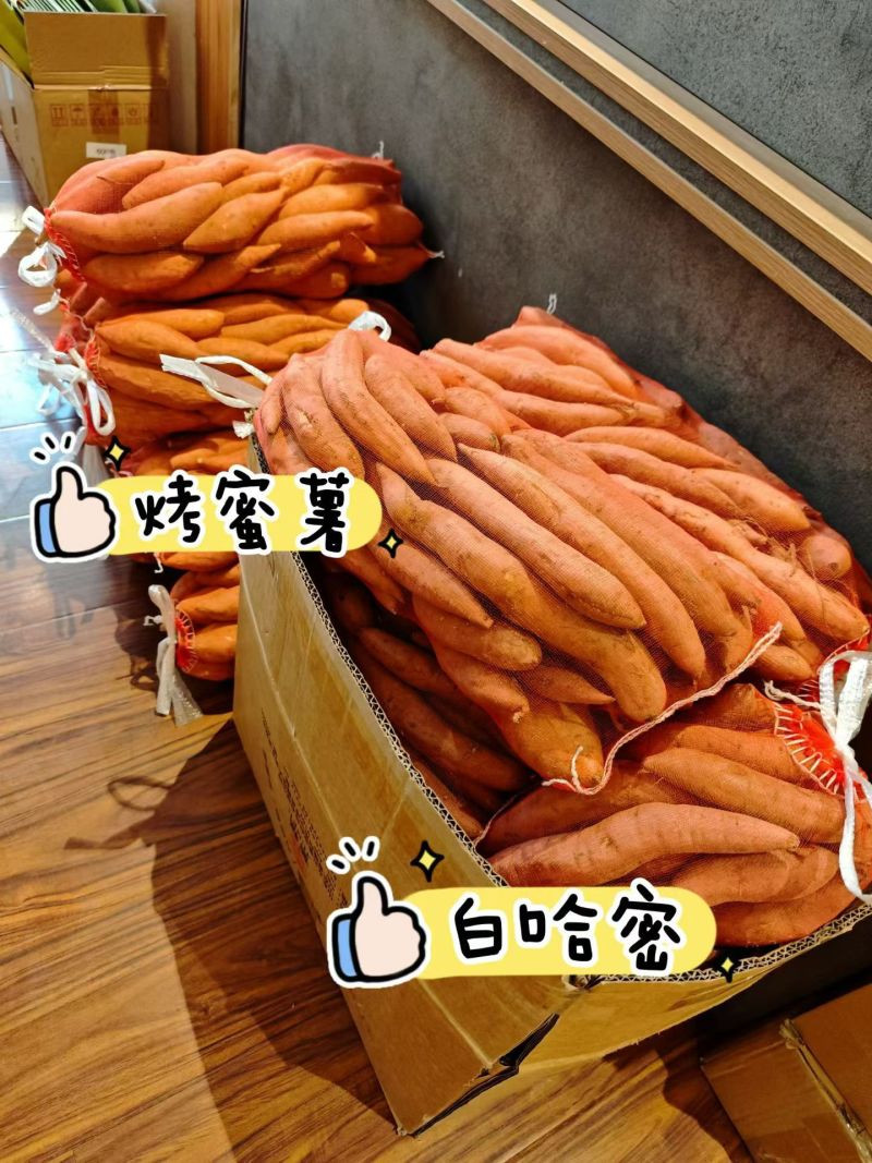 哈密冰糖蜜薯：电商/市场/团购/商超全渠道适配，品质好货