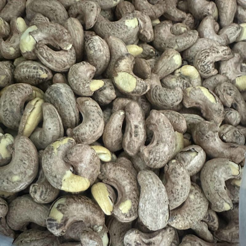 紫衣腰果大量现货大果