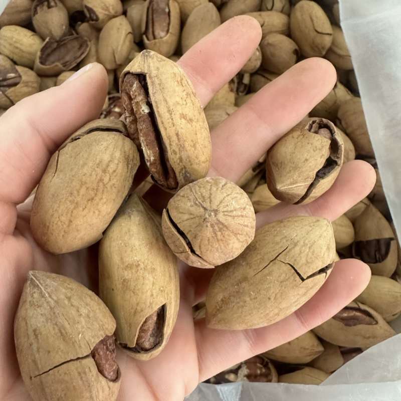碧根果奶香味新疆特产长寿果