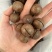 夏威夷果奶香味大果22-25现货