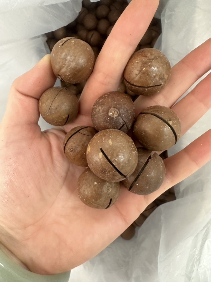 夏威夷果奶香味大果22-25现货