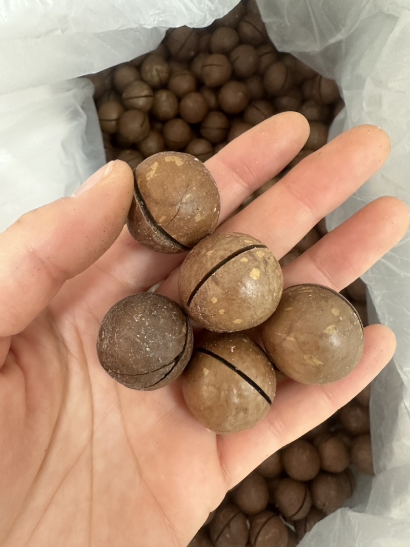 夏威夷果奶香味大果22-25现货