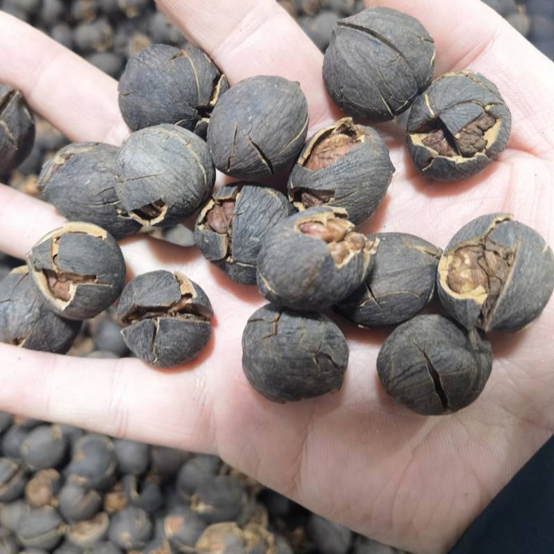 纯野生山核桃奶香味水煮炭火长寿果