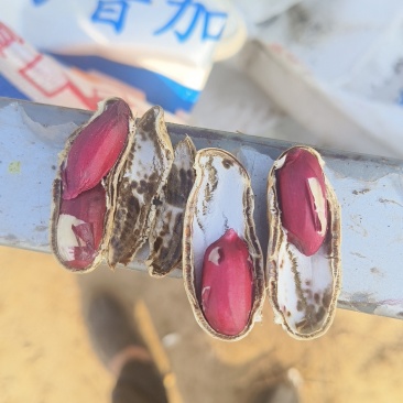 富硒黑花生