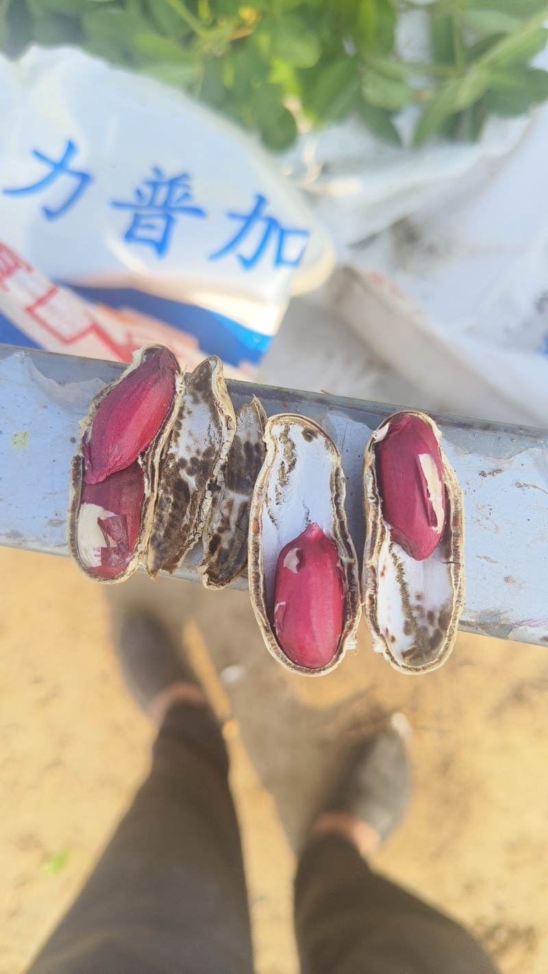 富硒黑花生