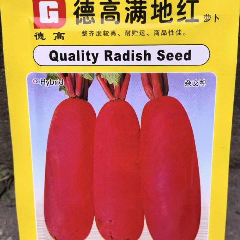 萝卜种子德高满地红通红油亮杂交红皮萝卜条形整齐品质好