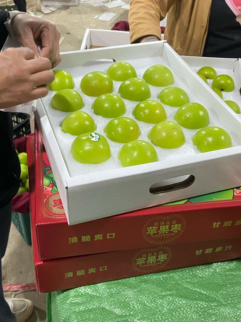 苹果枣