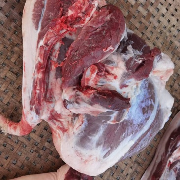 猪肉品质保证服务周到产地直发价格美丽欢迎联系