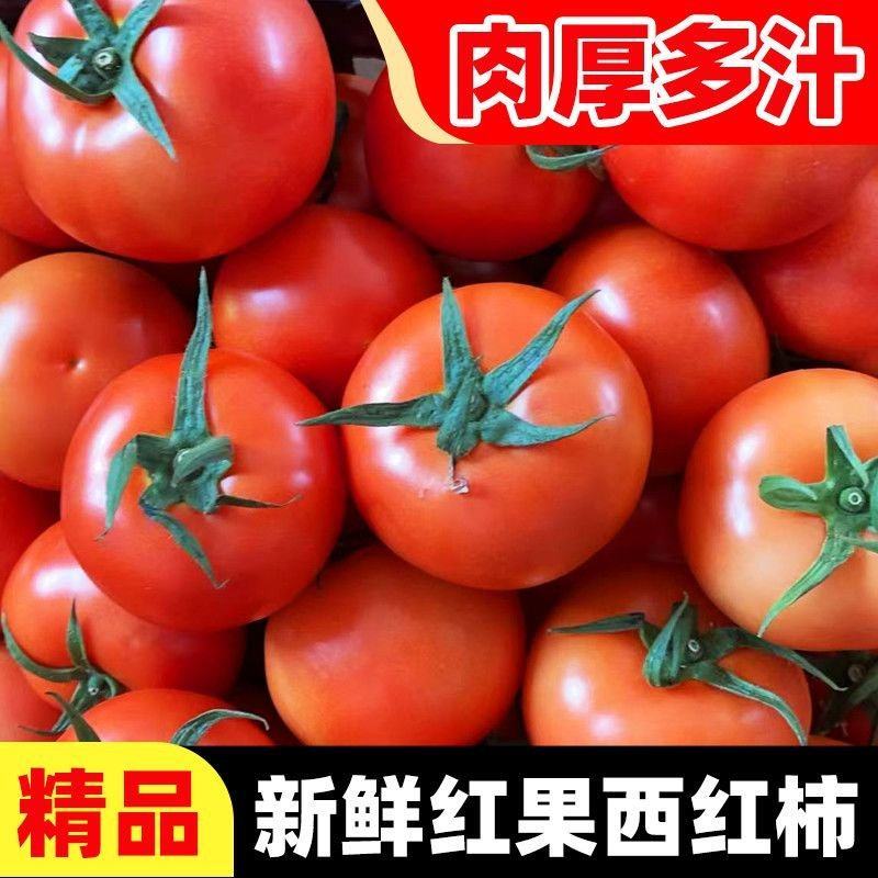 。西红柿大量上市，全国发货，欢迎进店沟通。