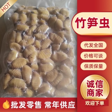 竹笋虫/产区直发/农家自己养殖/大量现货