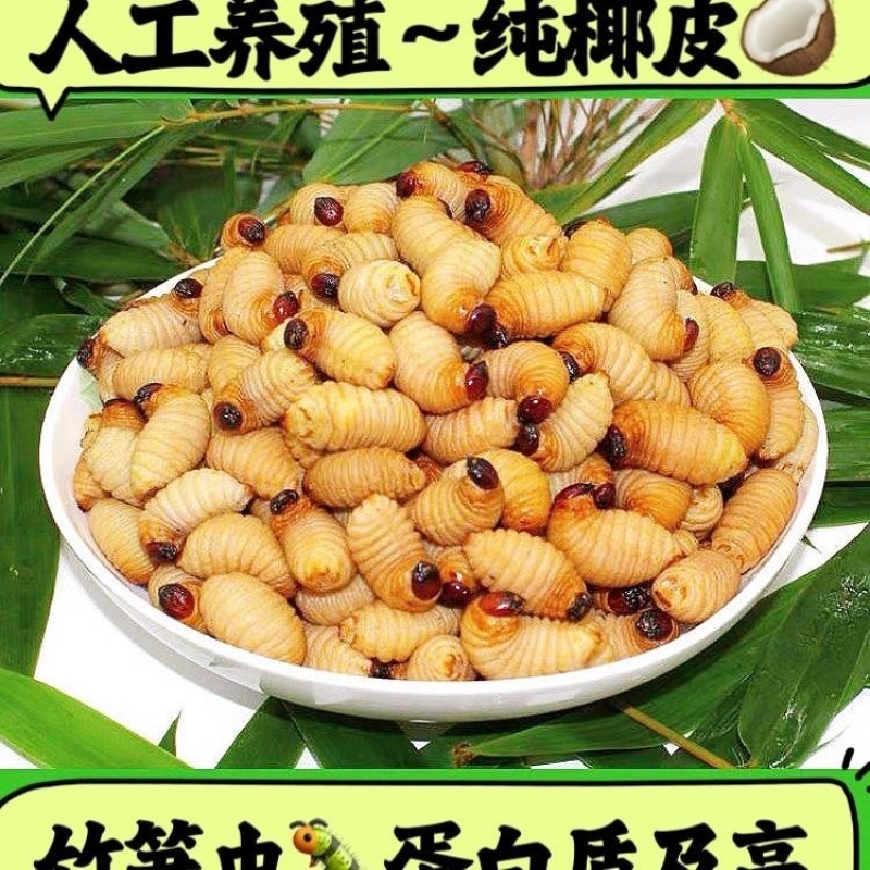 竹笋虫/河北承德发货/农家自己养殖/大量现货