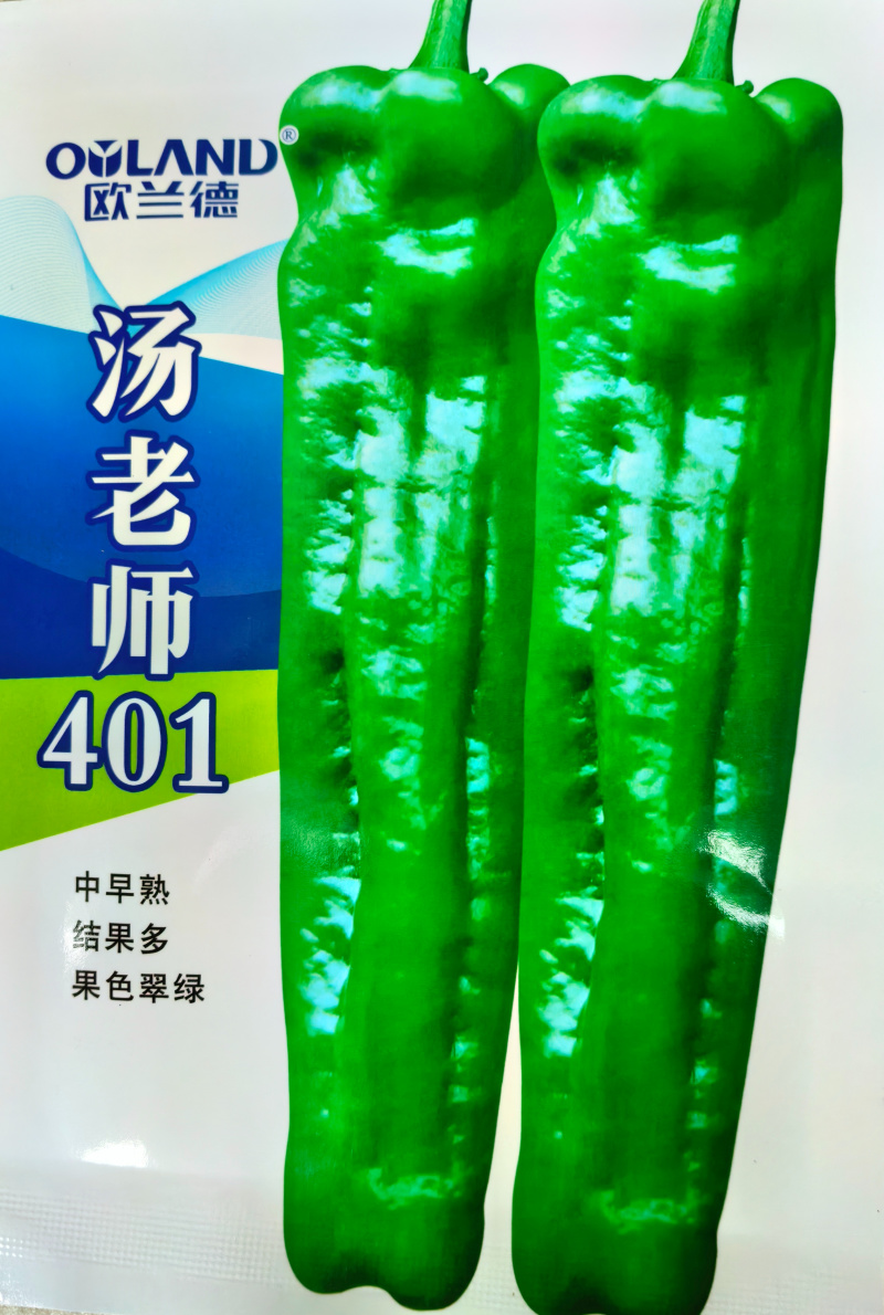 汤老师401泡椒种子薄皮厚肉翠绿皮牛角耐高温露地大泡椒辣