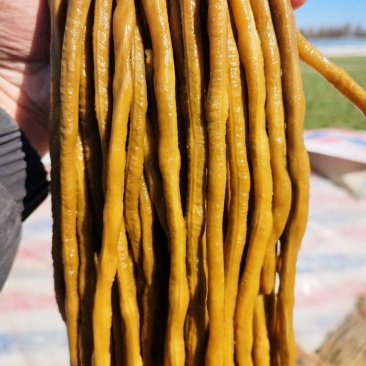 酸豆角精品，量大需要的联系