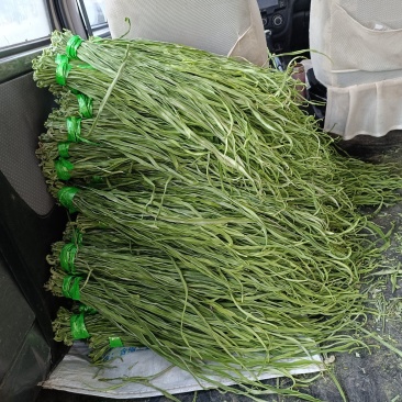【大理产地直供】特级贡菜干农家自晒无硫熏餐饮火锅批发