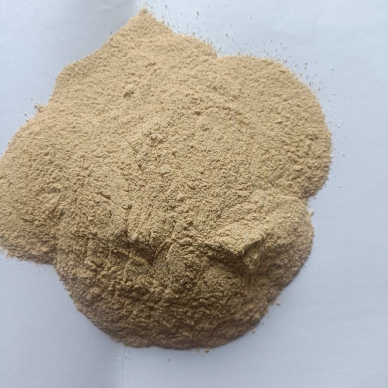 厂家直销蛋白粉，高蛋白，