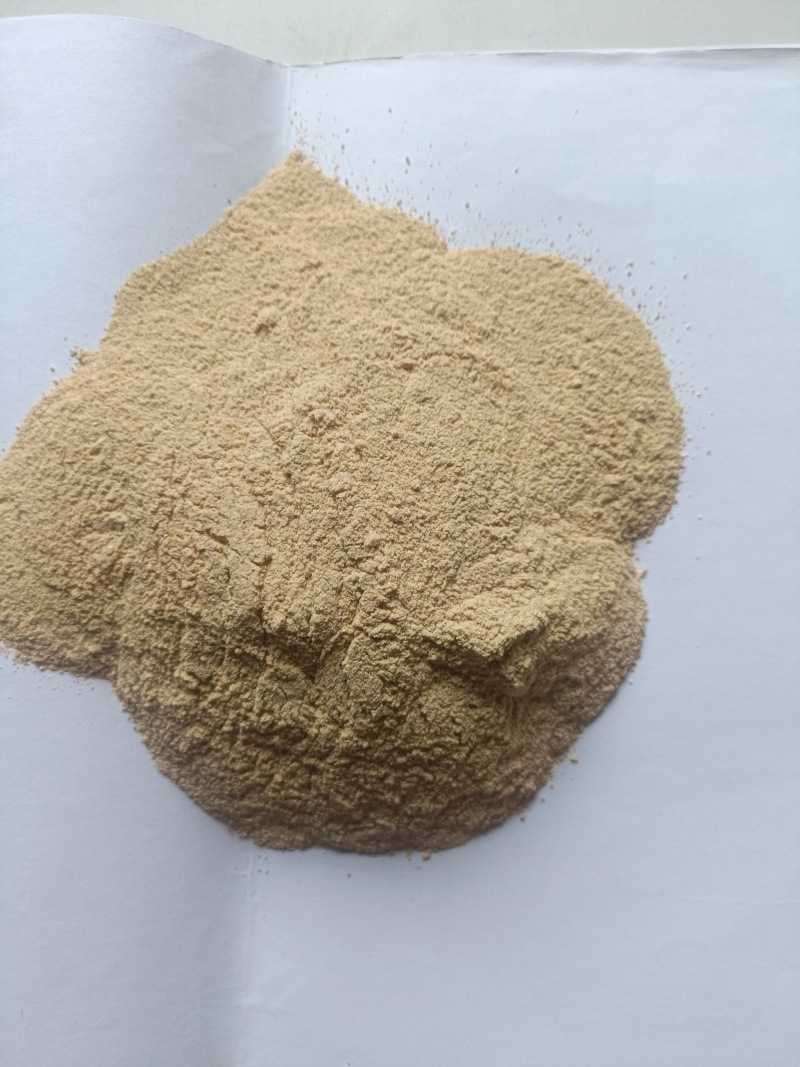 厂家直销蛋白粉，高蛋白，