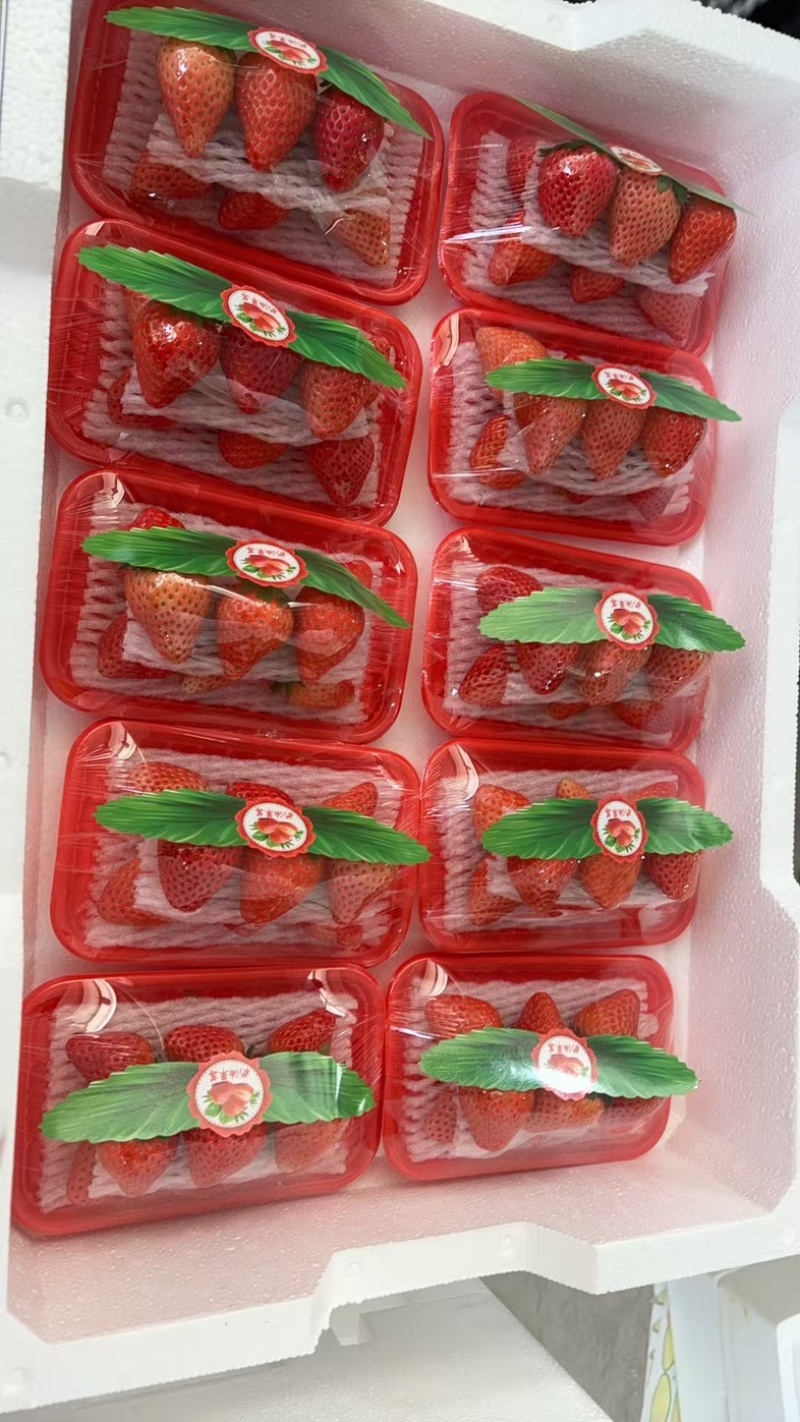 速冻果，罐头果，果汁果，加工果开始了，上货快保质保量，