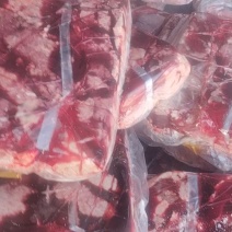 精品猪肺厂家发货量大从优随时拿货质量有保证物流快