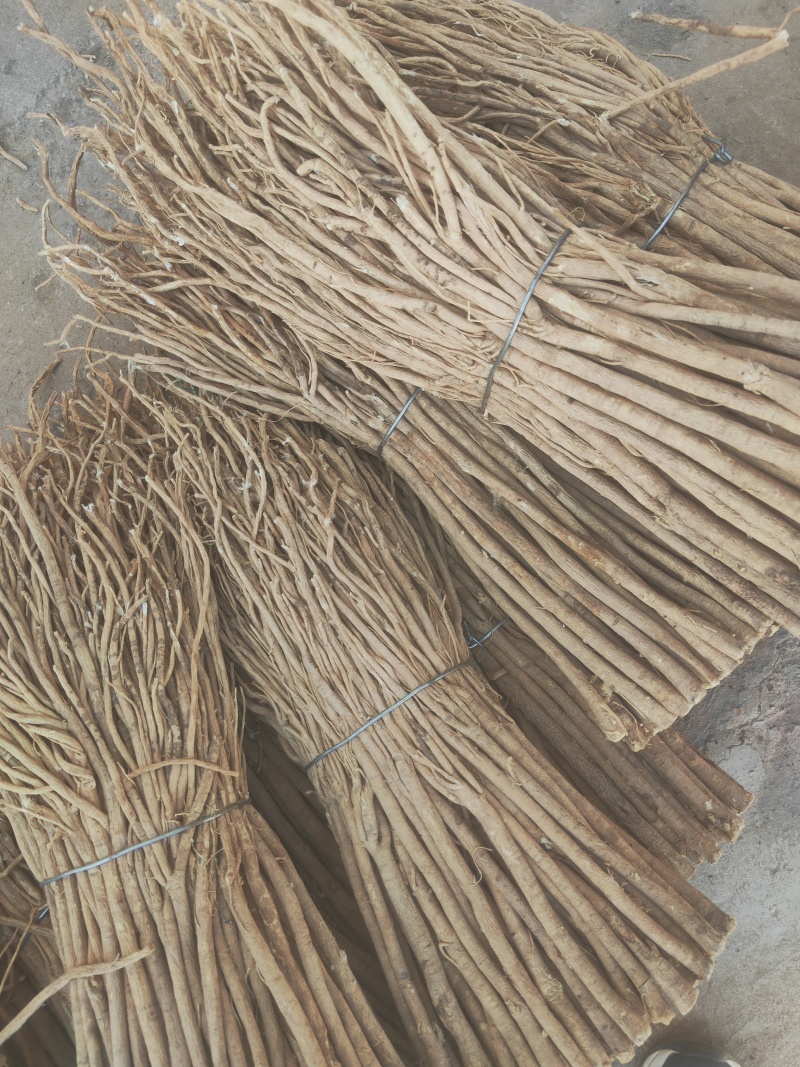 黄芪条整根黄芪甘肃产地直销无硫足干量大从优