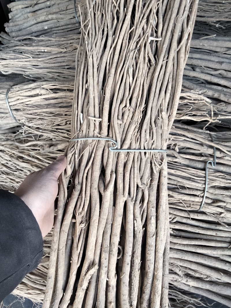 黄芪条整根黄芪甘肃产地直销无硫足干量大从优