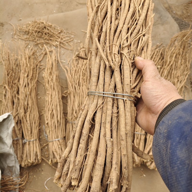 黄芪条整根黄芪甘肃产地直销无硫足干量大从优
