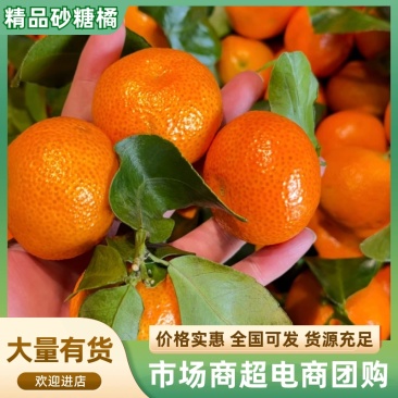 砂糖橘-正宗广西细皮砂糖橘，大量供应各大市场，电商，团购