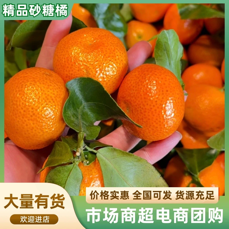 砂糖橘-正宗广西细皮砂糖橘，大量供应各大市场，电商，团购