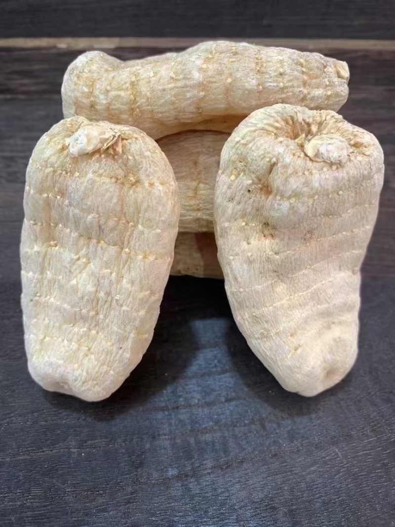 云南昭通特级野生天麻个大饱满无空心天麻素含量高产地直发