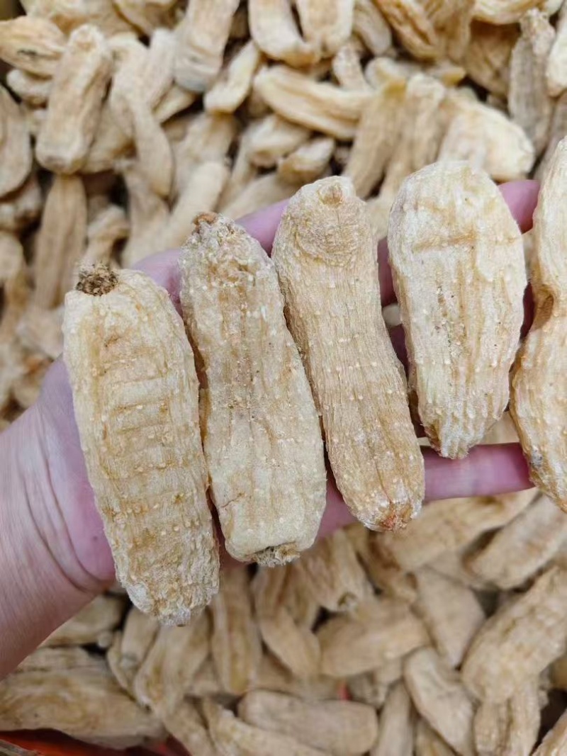 云南昭通特级野生天麻个大饱满无空心天麻素含量高产地直发