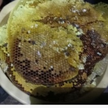 野生土蜂蜜